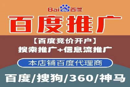 百度竞价广告案例分析：成功之道揭秘